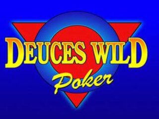 Microgaming game 164