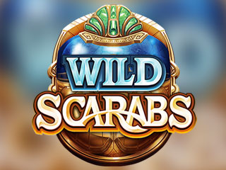 Microgaming game 338