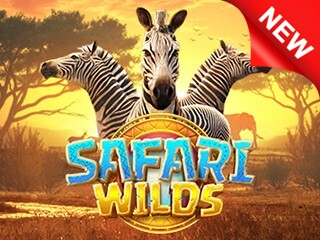 PG Soft game 44